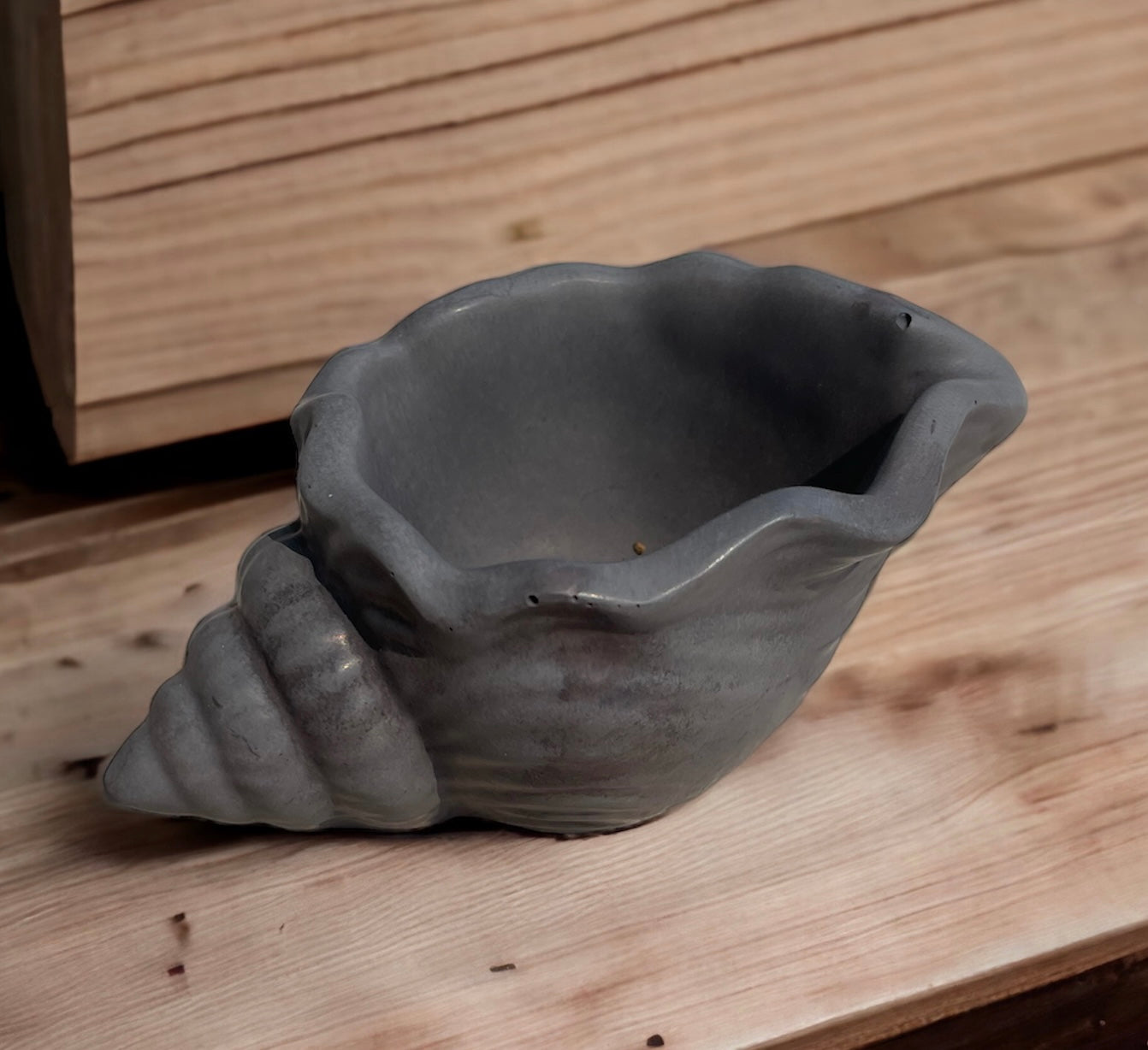 Seashell Planter