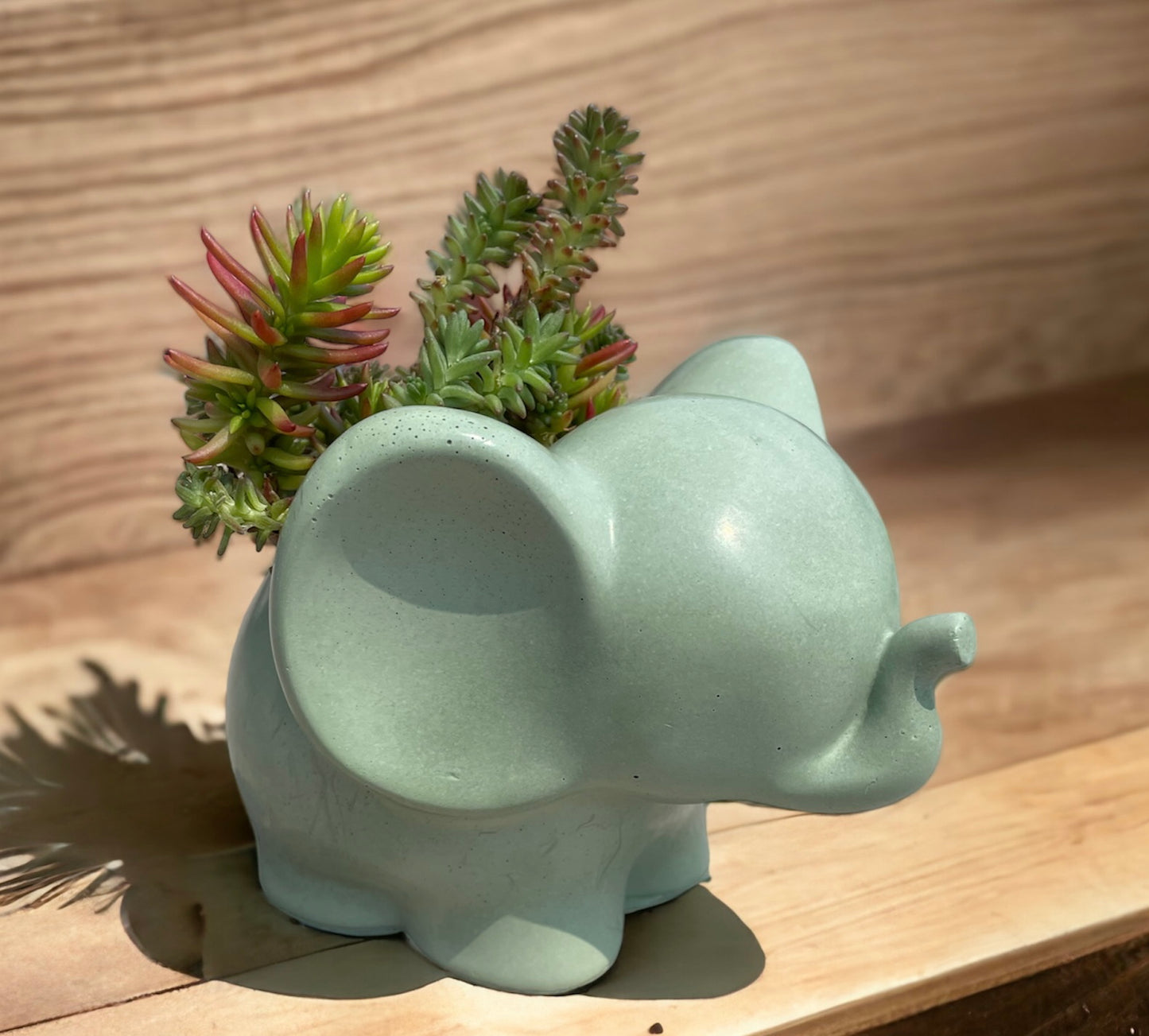 Elephant Planter with Succulent Options