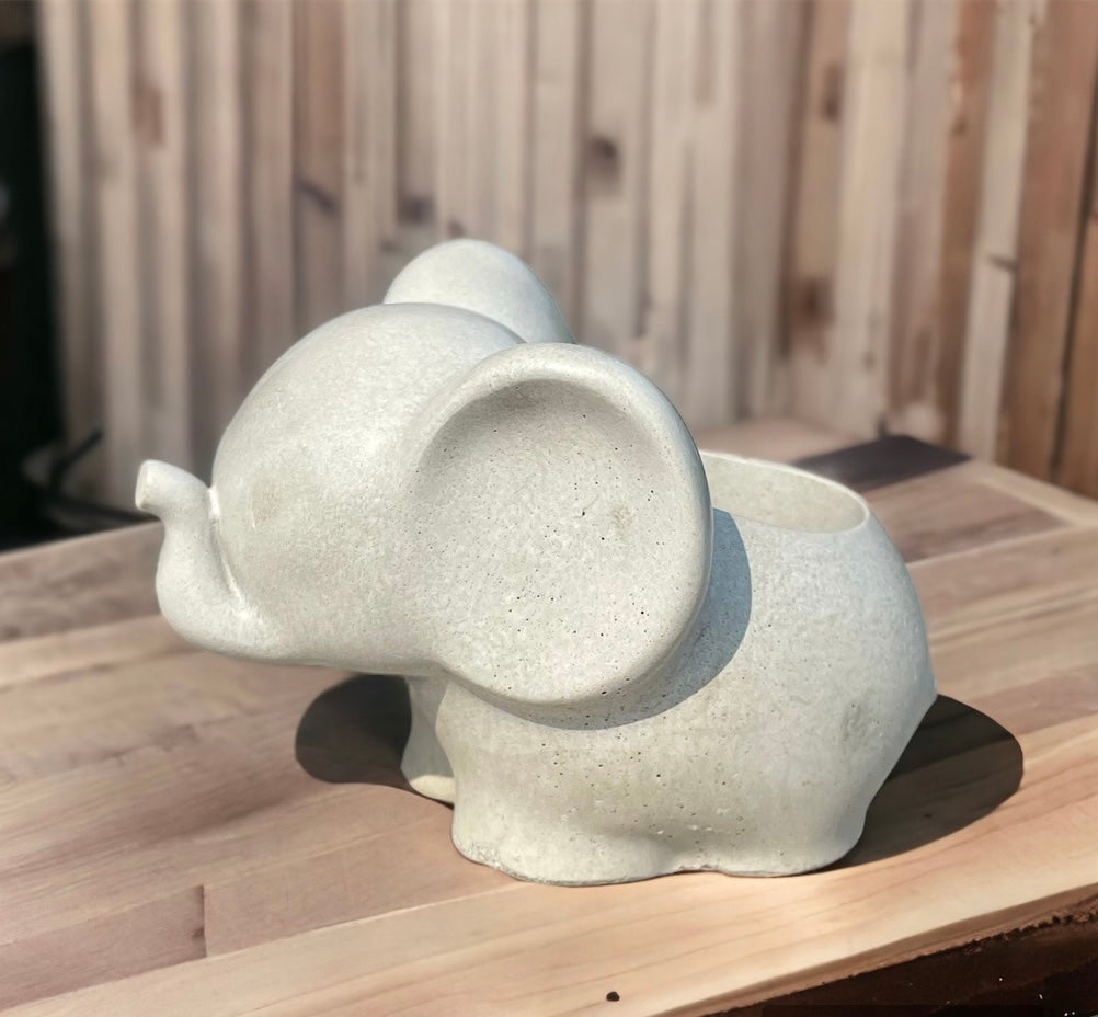 Elephant Planter with Succulent Options