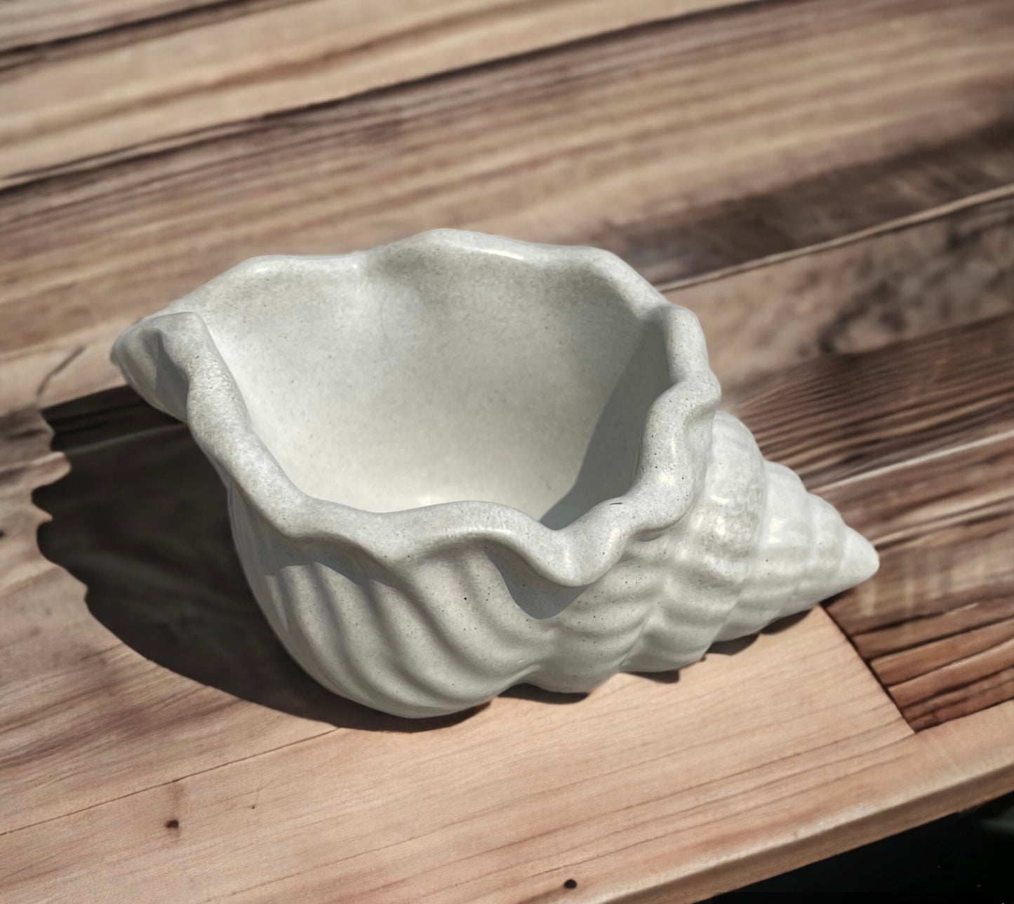 Seashell Planter