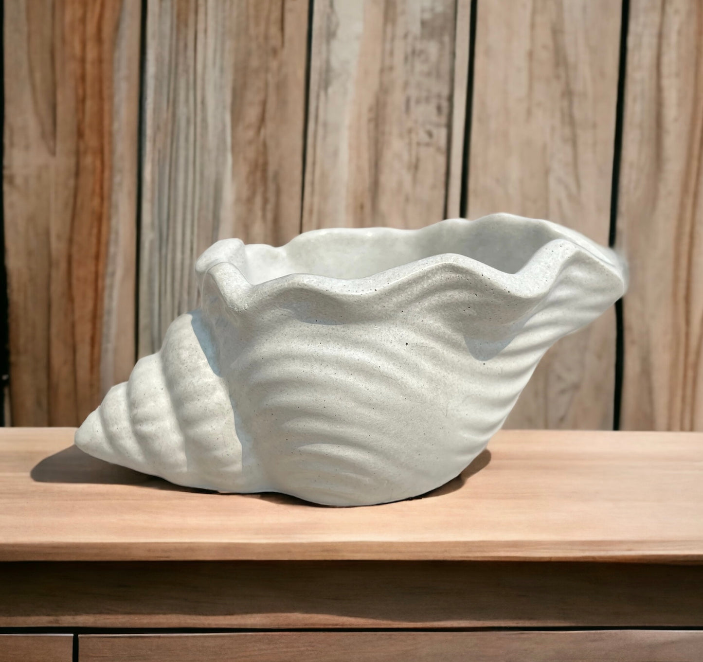 Seashell Planter