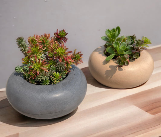 Round Zen Planter