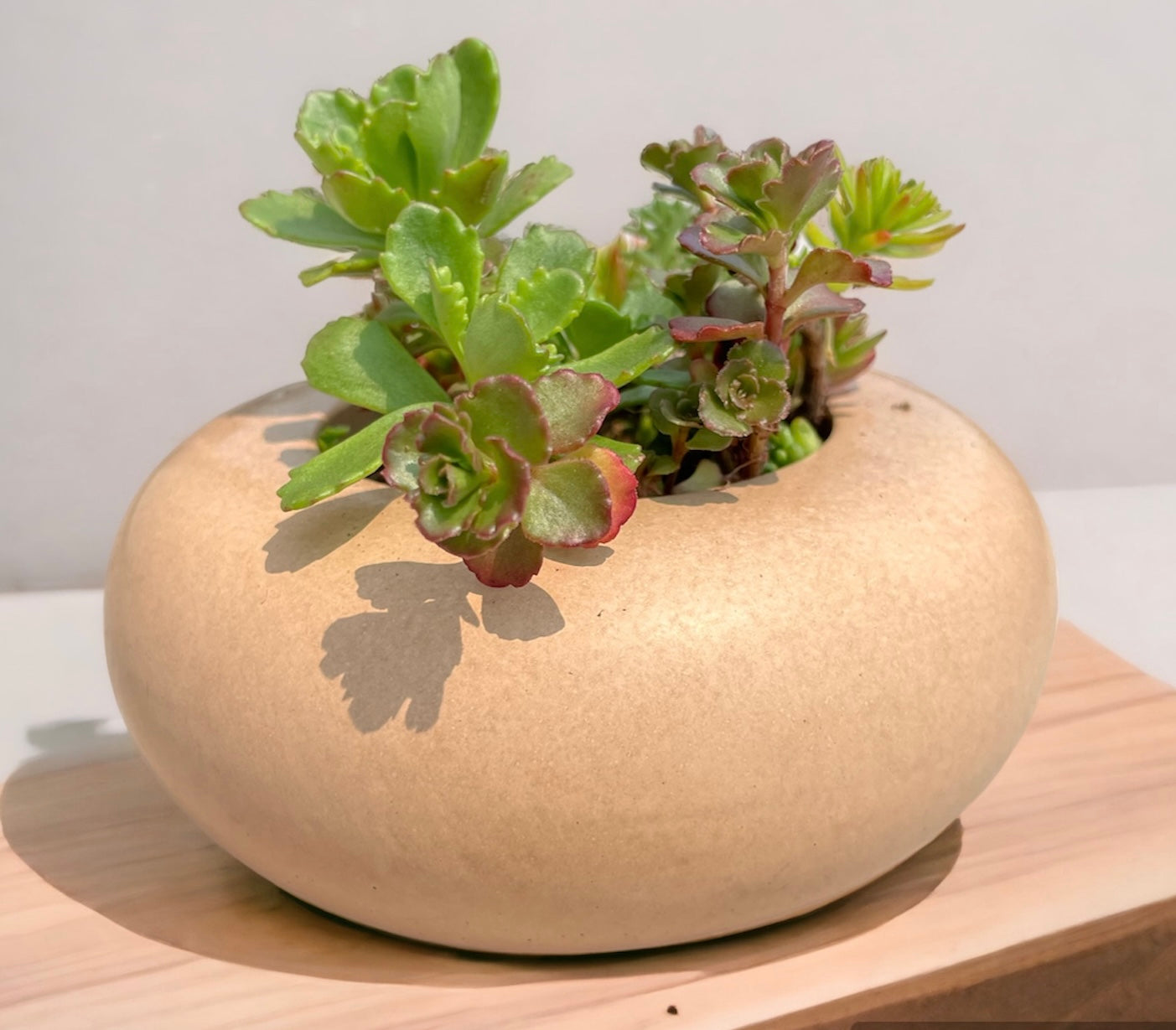 Round Zen Planter