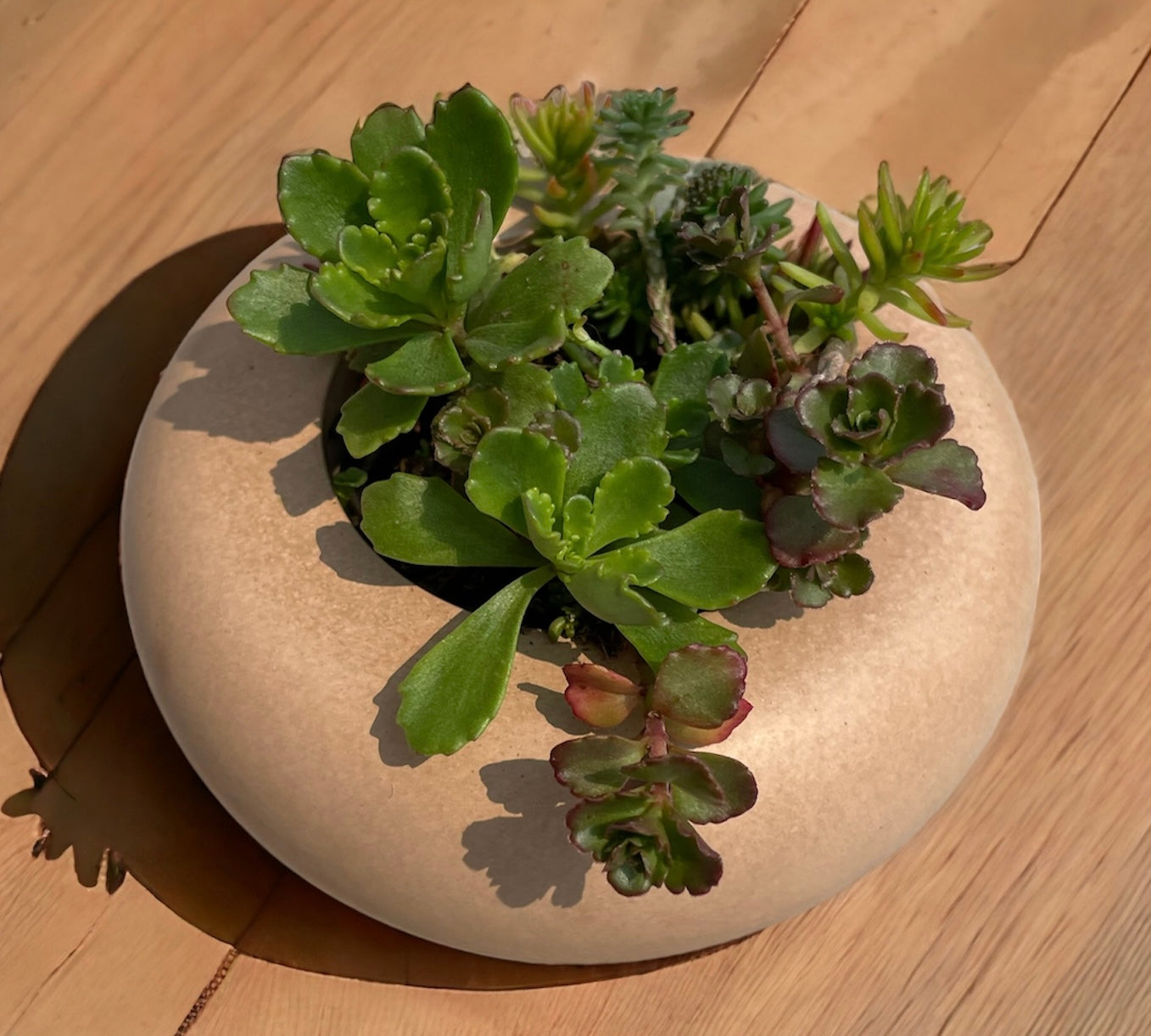 Round Zen Planter